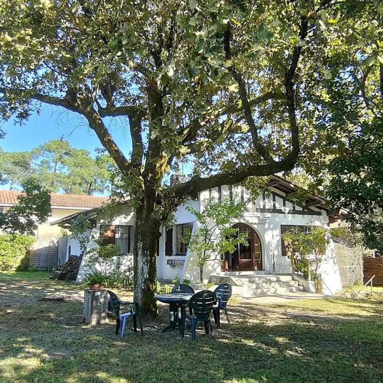 Charmante villa avec jardin clos, à 100m du Bassin d'Arcachon, proche plages et commerces, Wi-Fi - Villa de 3 dormitorios - 1