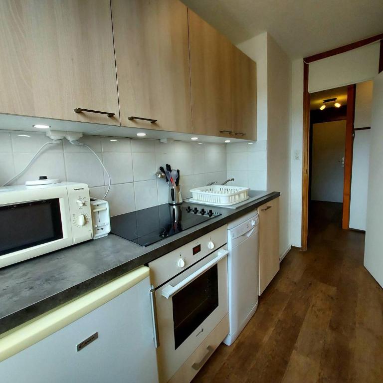 Appartement confortable, proche des pistes, animaux admis - Appartement 1 Chambre - 7