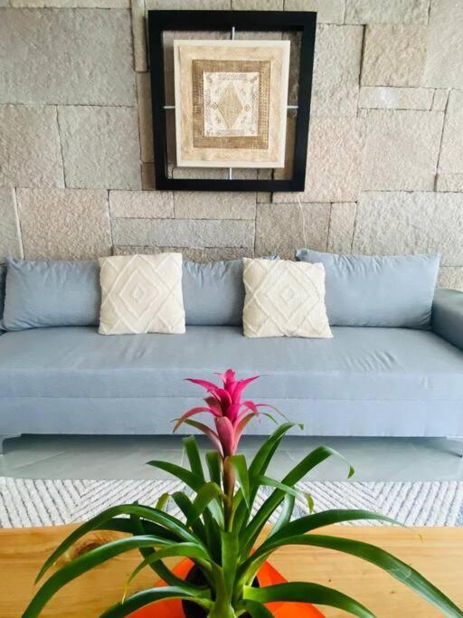 Casa Luna Suites - Apartment - 23
