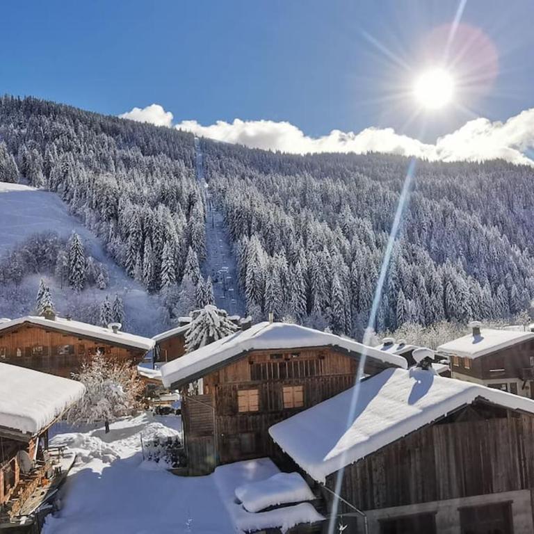 Au pied des pistes - grand appartement 200m2 14 pers - Appartement - 10