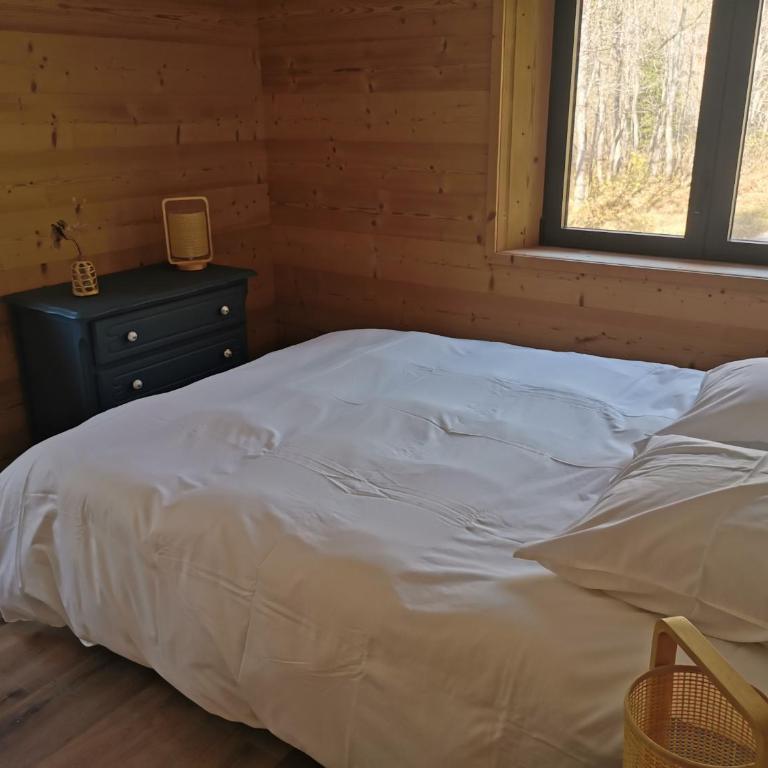 Au pied des pistes - grand appartement 200m2 14 pers - Appartement - 17