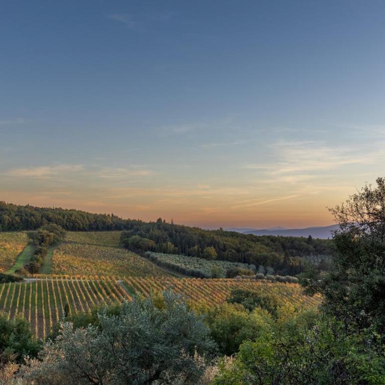 CASTELLARE IN POGGIO 10, Emma Villas - Villa con 5 Camere da Letto - 43