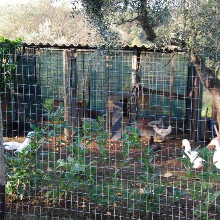 Casa Acquabianca - Appartamento con 1 Camera da Letto - 22