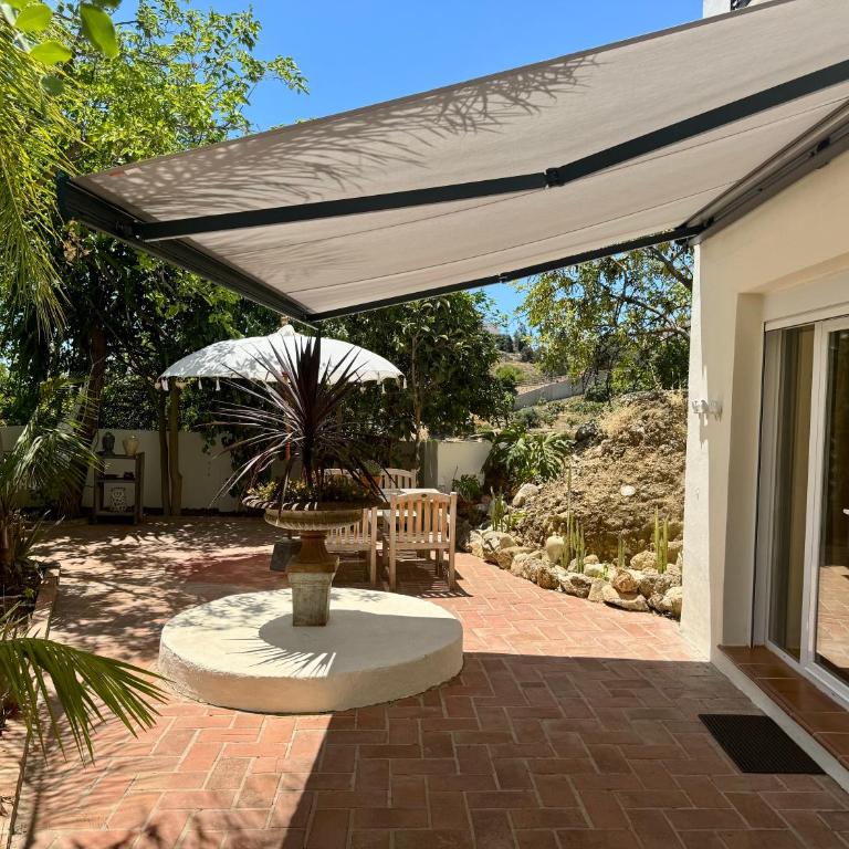 Finca La Vida Loca- For adult guests - Studio Apartment - 10