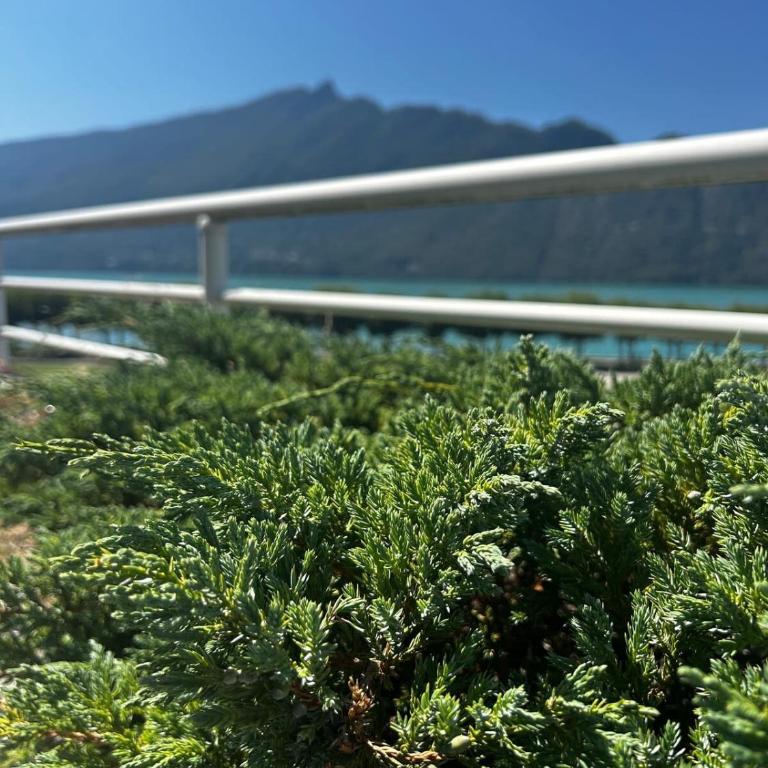 Les Jardins du Lac - nice view 3 - Appartement 2 Chambres - 48