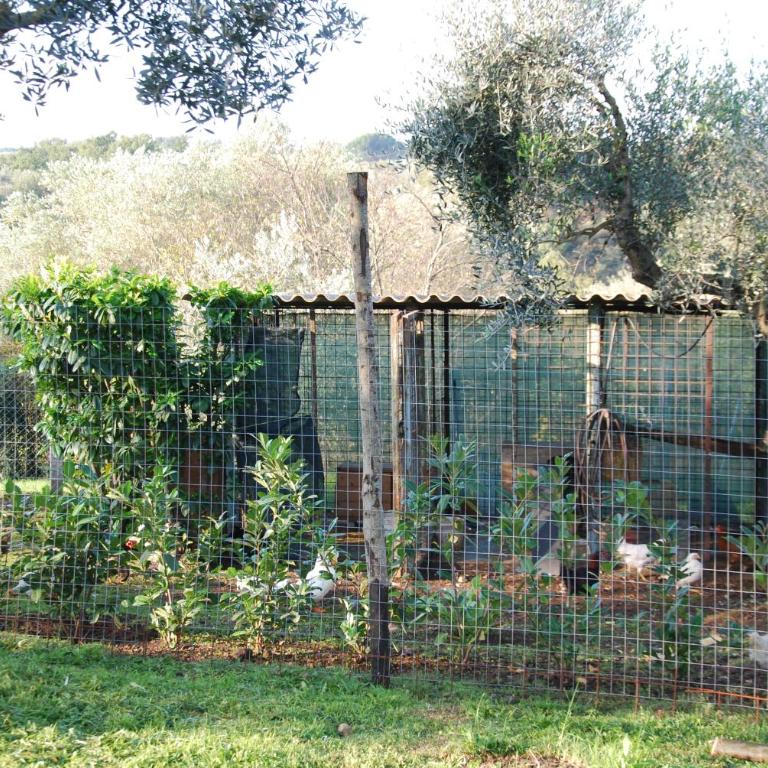 Casa Acquabianca - Appartamento con 2 Camere da Letto - 28