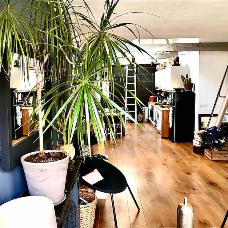 Loft de charme Louvre Tuileries Palais Royal - Appartement 1 Chambre - 5