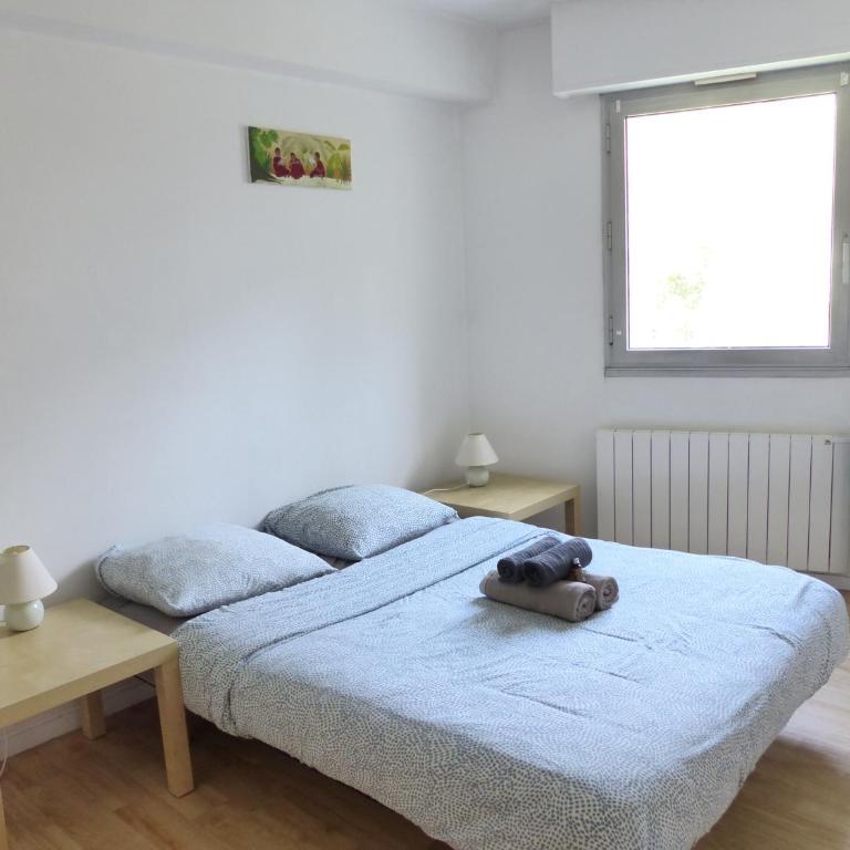 Chézine, T2 au calme avec balcon, 2pers et parking - Appartement 1 Chambre - 7