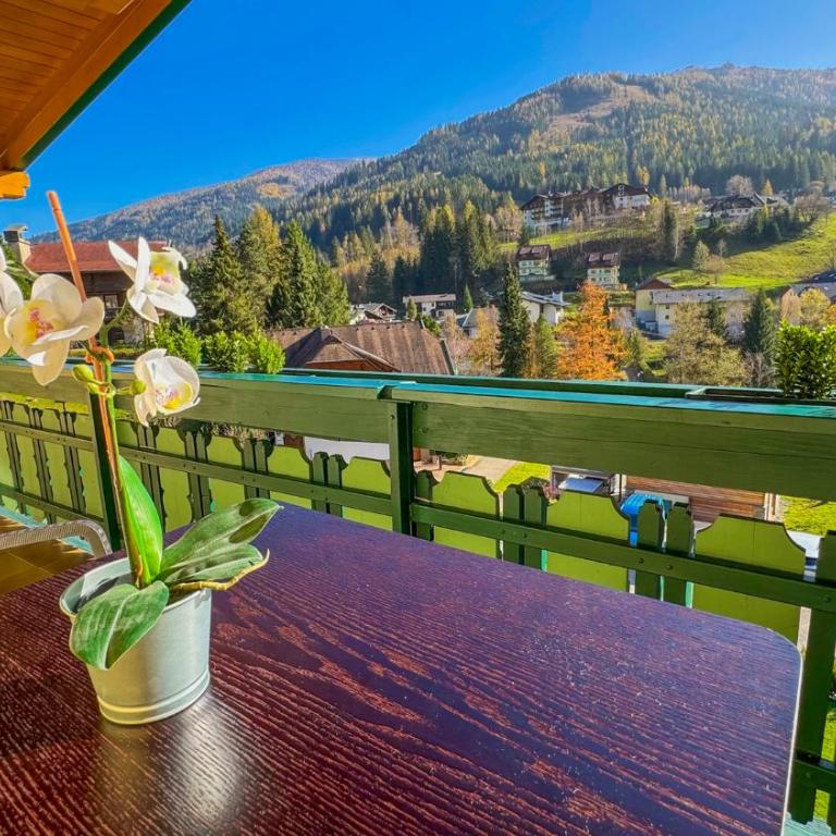 Landhaus Krenn - Apartment mit 1 Schlafzimmer und Aussicht - 2