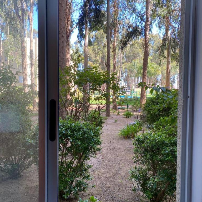 Acogedor y tranquilo departamento Mirasol - Apartamento de 3 dormitorios - 11