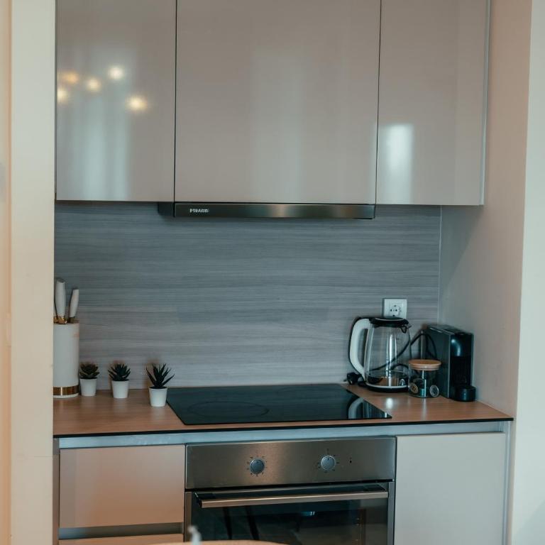 Belgrade Waterfront Mirage - Apartman s 1 Spavaćom Sobom i Terasom - 11