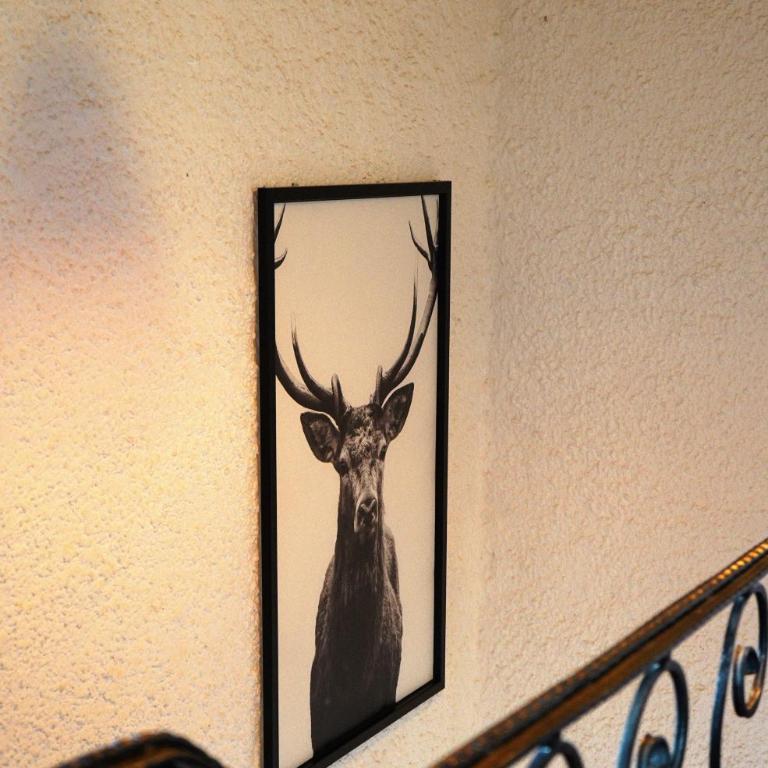 Haus Diana - Apartment mit 3 Schlafzimmern - 11