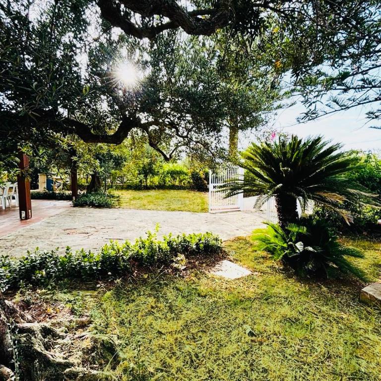 Villetta Verde Mare - Scopello - Maison 2 Chambres - 11
