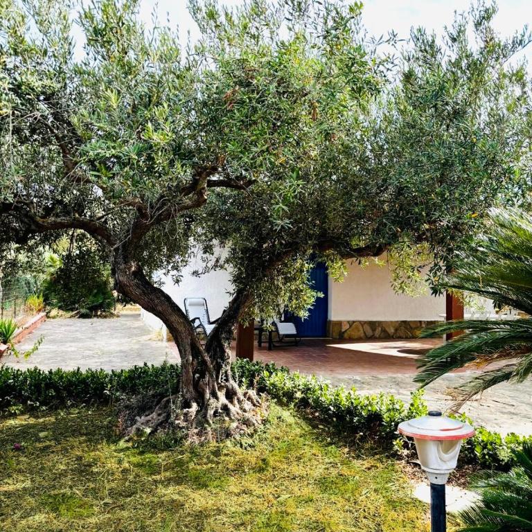 Villetta Verde Mare - Scopello - Maison 2 Chambres - 12