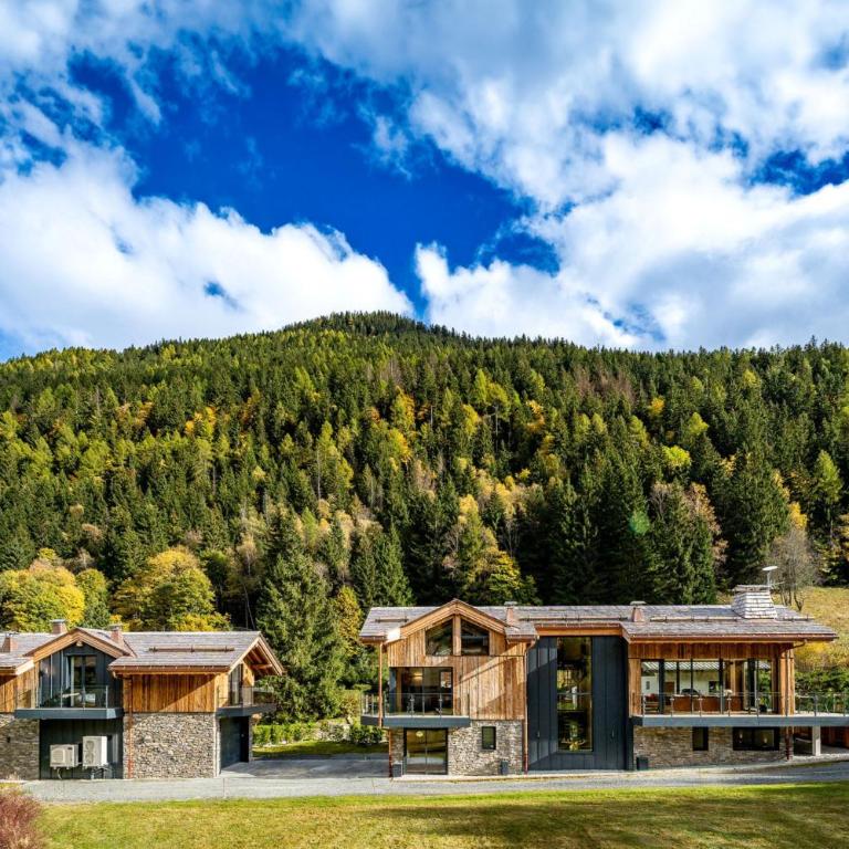 Chalet Cotes du Lavancher - Chalet Supérieur - 54