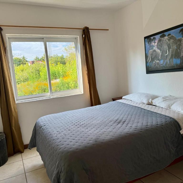 Herradura VIP Inn - Apartamento de 2 dormitorios - 22