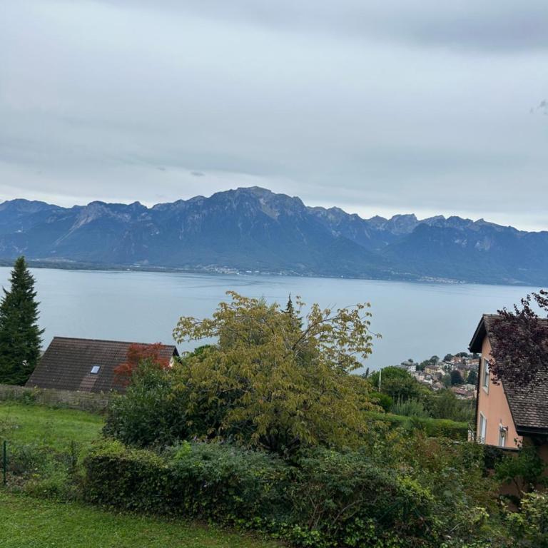 studio with amazing view - Apartamento de 1 dormitorio - 1