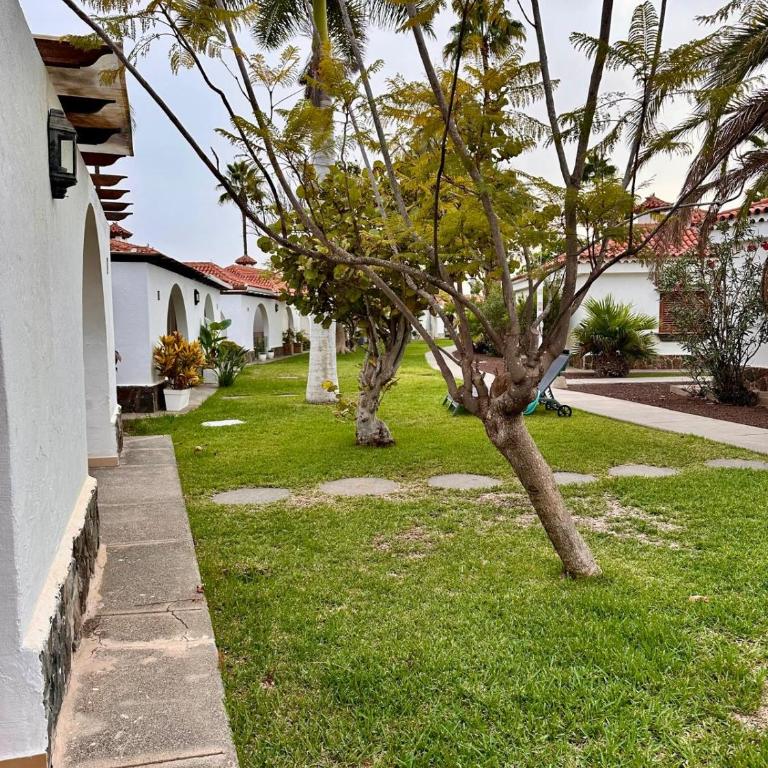Newly listed and renovated Bungalow in Parque Golf Maspalomas - Casa con 1 dormitorio - 4