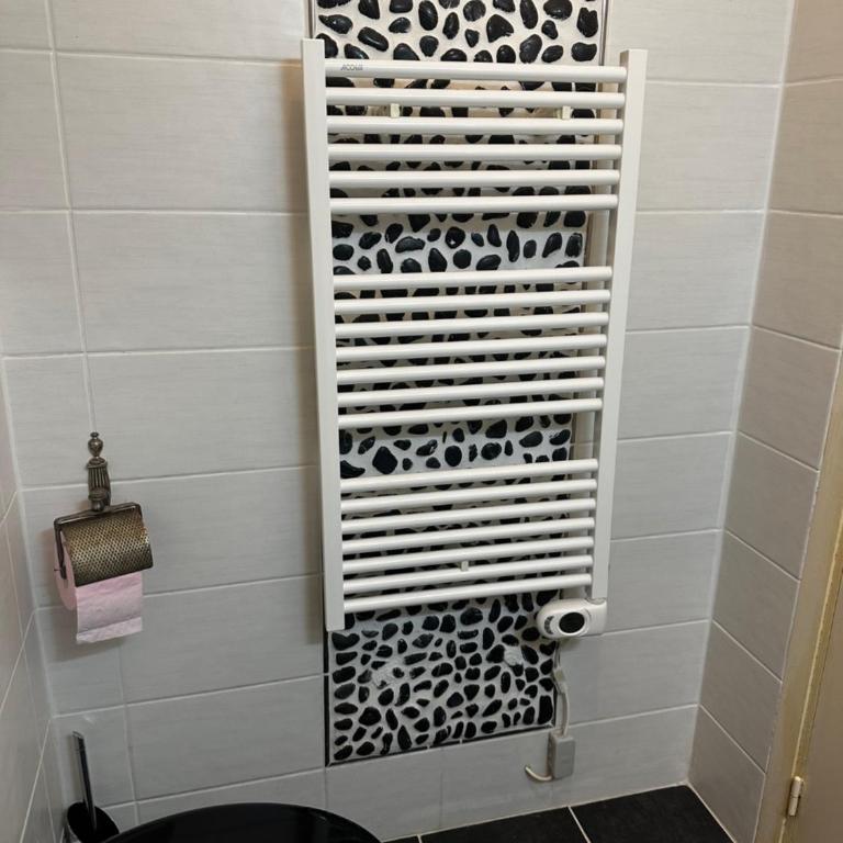 CHARMANT STUDIO AVEC PISCINE à LA MIRANDOLE - Appartement 1 Chambre - 10