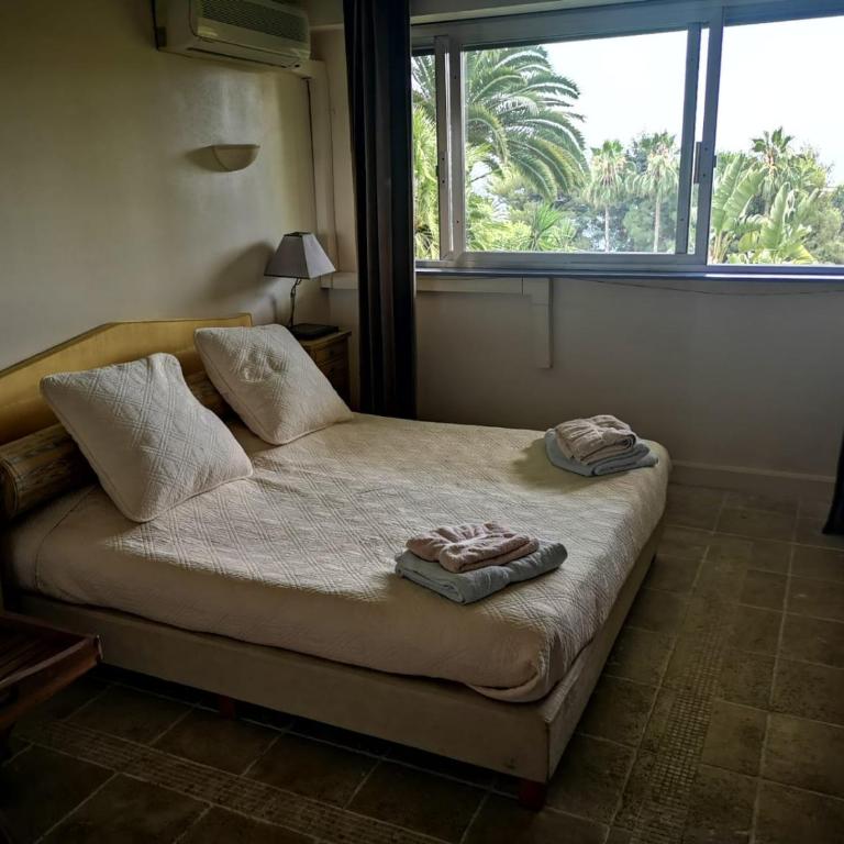 CHARMANT STUDIO AVEC PISCINE à LA MIRANDOLE - Appartement 1 Chambre - 11
