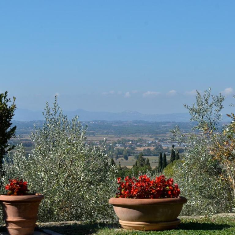 Villa Eugenio - Villa with Private Pool - 44