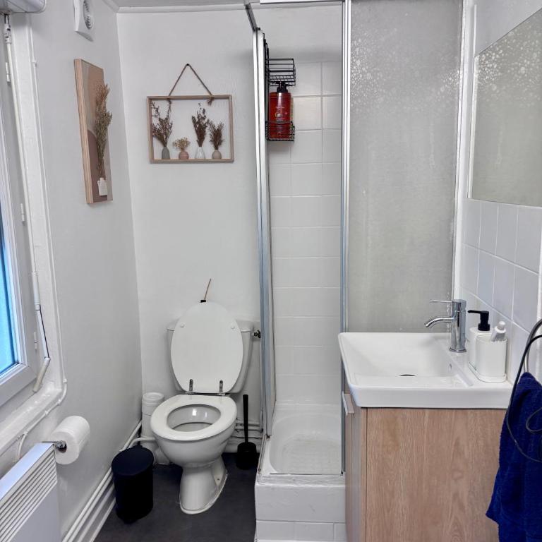 Appart-Lido, appartement cosy à REIMS - Estudio - 9