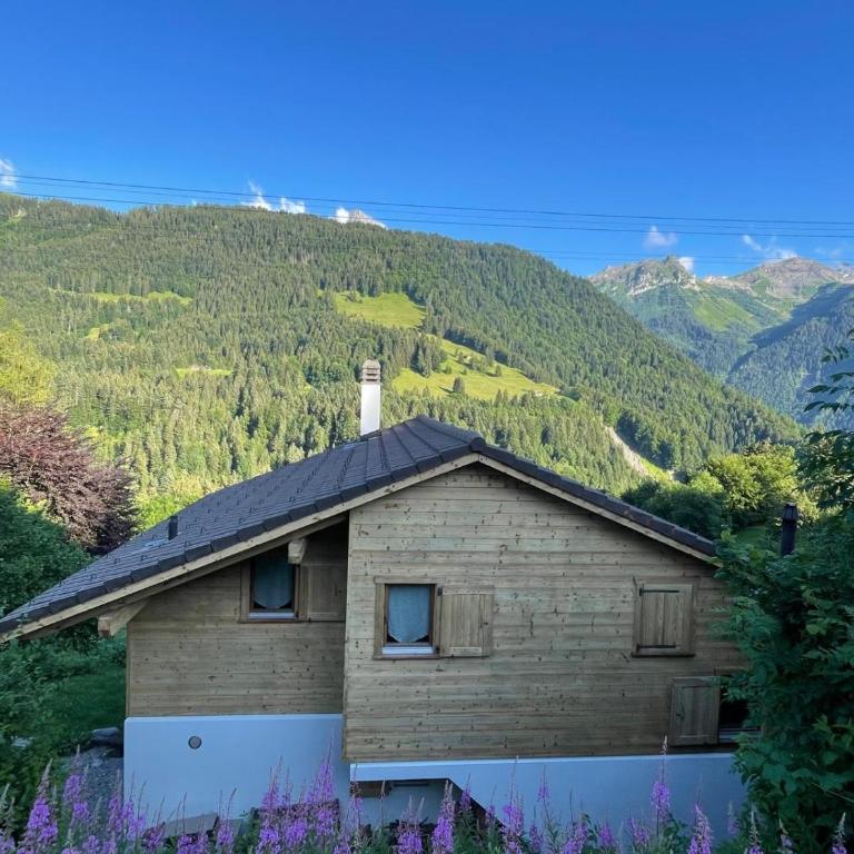 Chalet Villars-Gryon 8pax Cosy - Chalet - 3