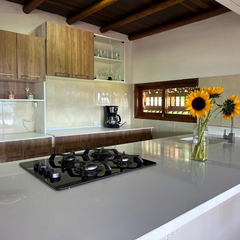 Finca Buena Vista - Casa de 3 dormitorios - 17