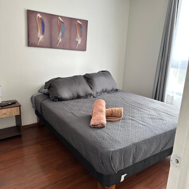 Never Give Up Suites - Apartamento de 1 dormitorio - 1