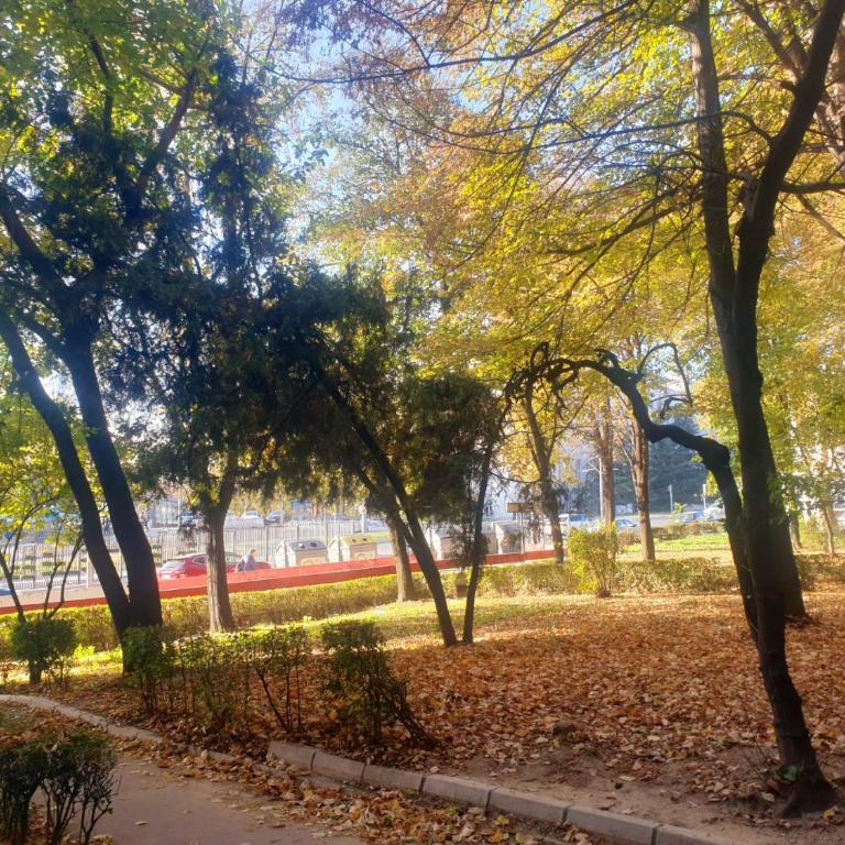 Best choice Hram centar - Apartman sa 1 Spavaćom Sobom - 17