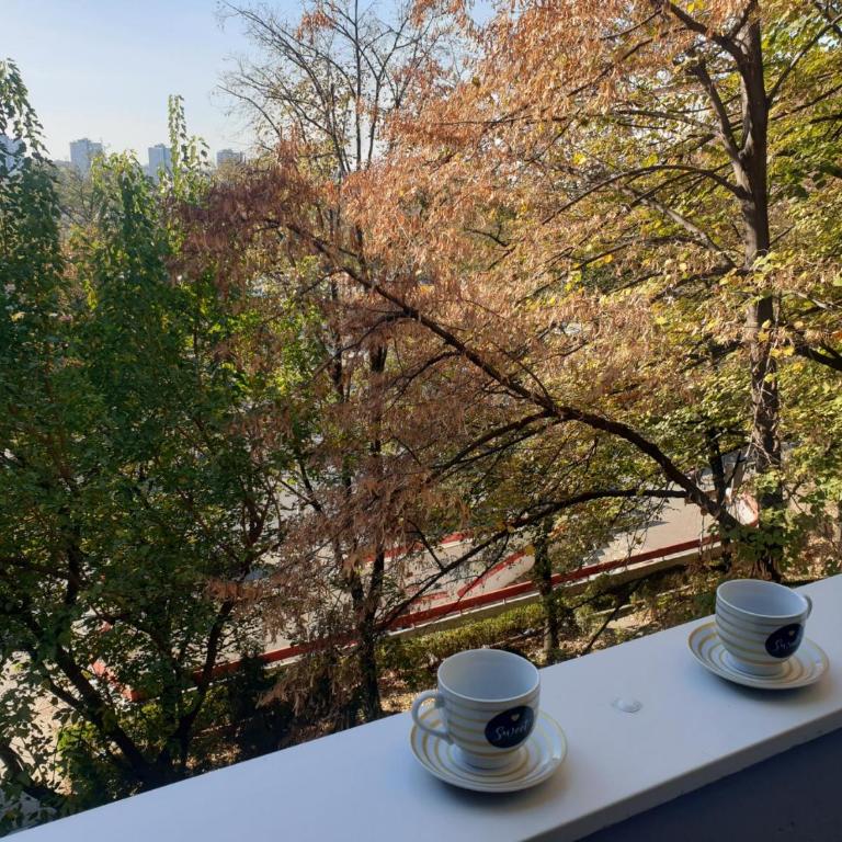 Best choice Hram centar - Apartman sa 1 Spavaćom Sobom - 14