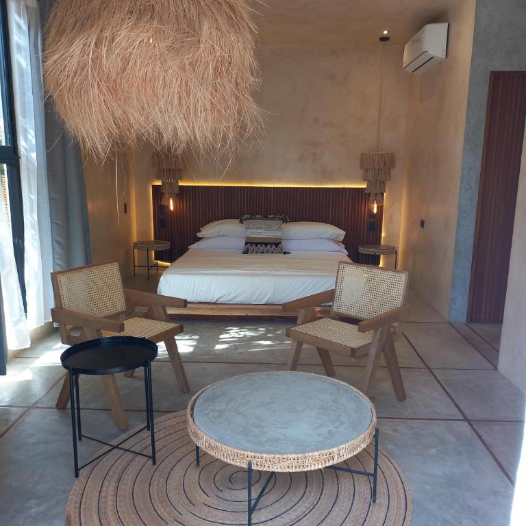 Piquete Holbox - Estudio Deluxe - 5