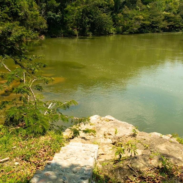 RíoBosque Cabañas de lujo frente al rio desayuno incluido san carlos antioquia - Deluxe Quadruple Room - 57