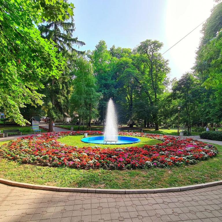 Maja Vujković Apartman 5 - Apartman sa 1 Spavaćom Sobom - 13