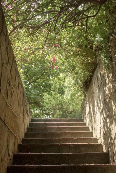 Exclusivo en el Oeste - Apartamento de 3 dormitorios - 7