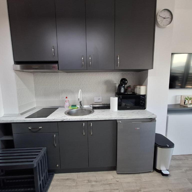 Vidik Divčibare - Apartman sa 1 Spavaćom Sobom - 7