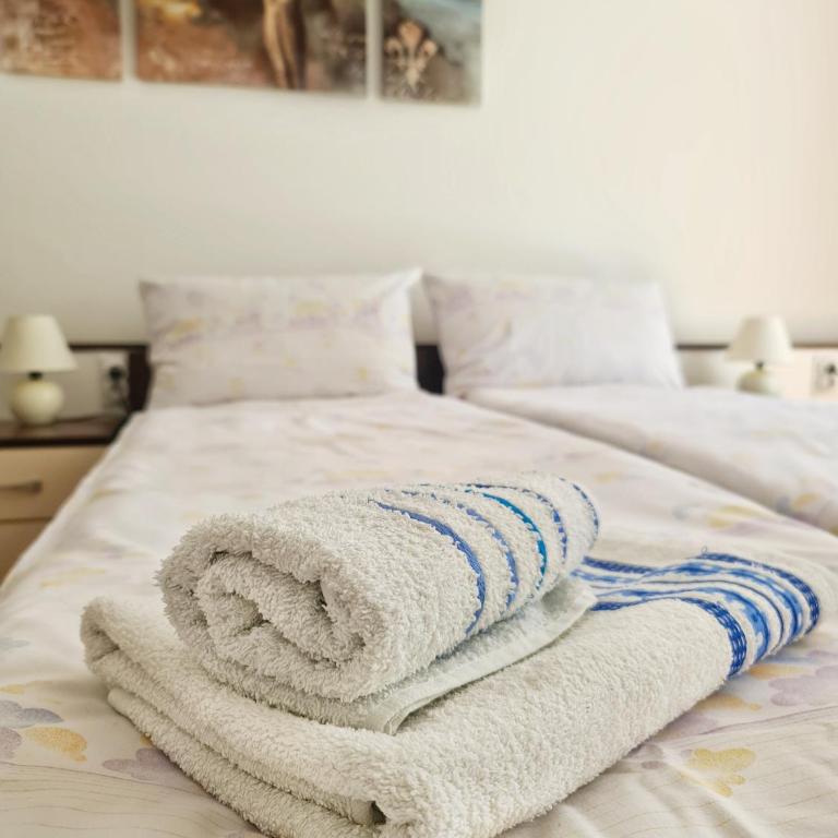 Maja Vujković Apartman 1 - Apartman sa 1 Spavaćom Sobom - 8