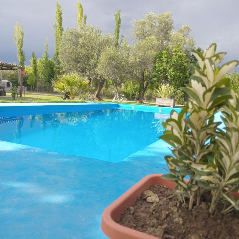 Nostraterra - Two-Bedroom House - 4