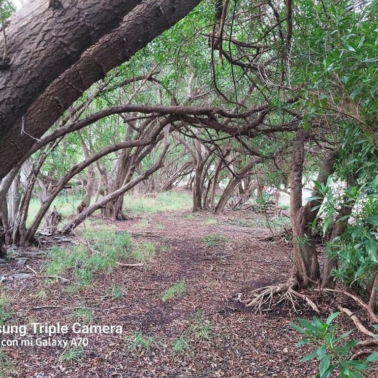 chapa - Casa de 2 dormitorios - 17