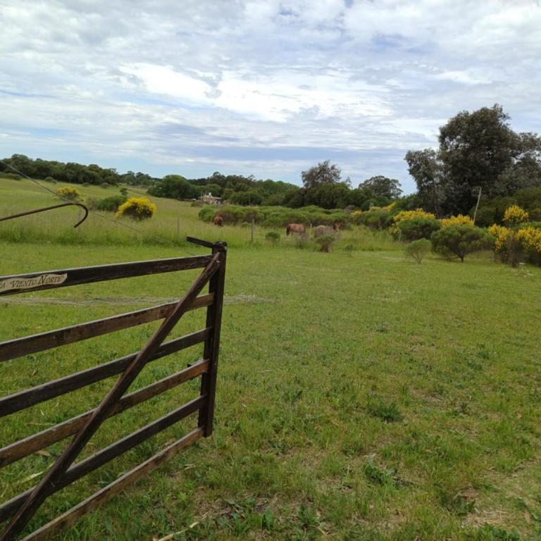 chapa - Casa de 2 dormitorios - 4