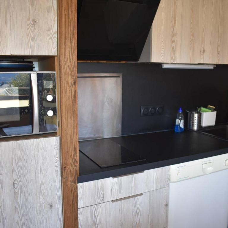 Charmant T2 Cabine Style Chalet, exposé Sud, proche centre et télécabines - Appartement 1 Chambre - 3