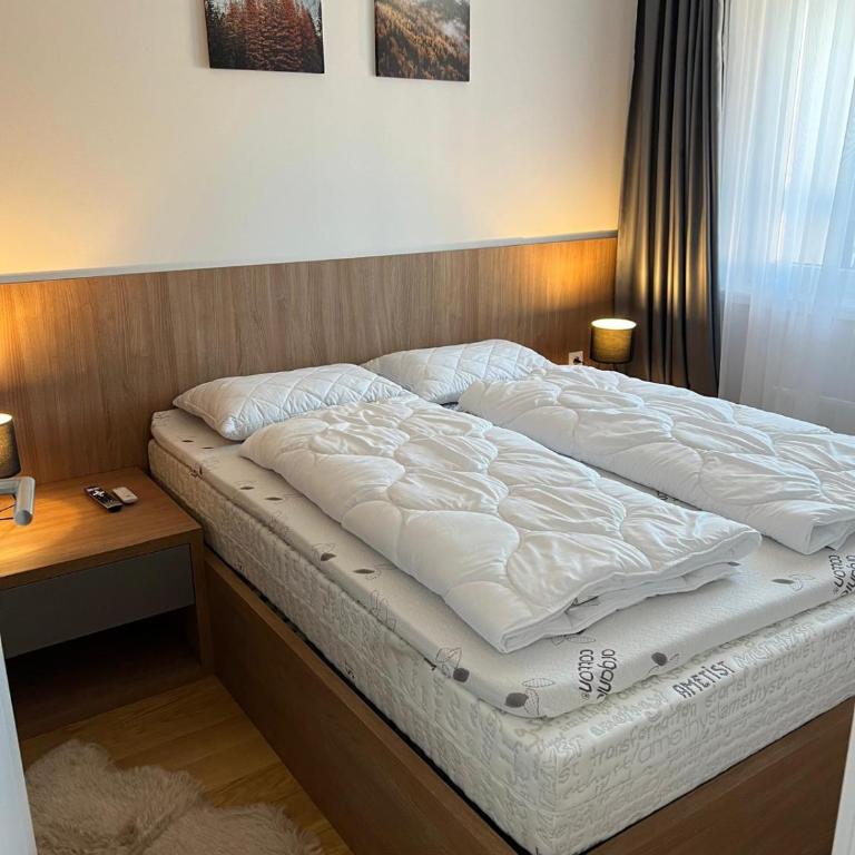 Apartman Zarić Jahorina - Snježna Dolina Resort - One-Bedroom Apartment - 5