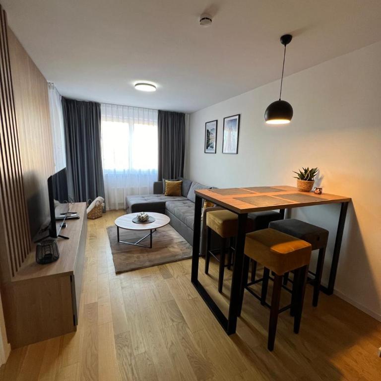 Apartman Zarić Jahorina - Snježna Dolina Resort - One-Bedroom Apartment - 1
