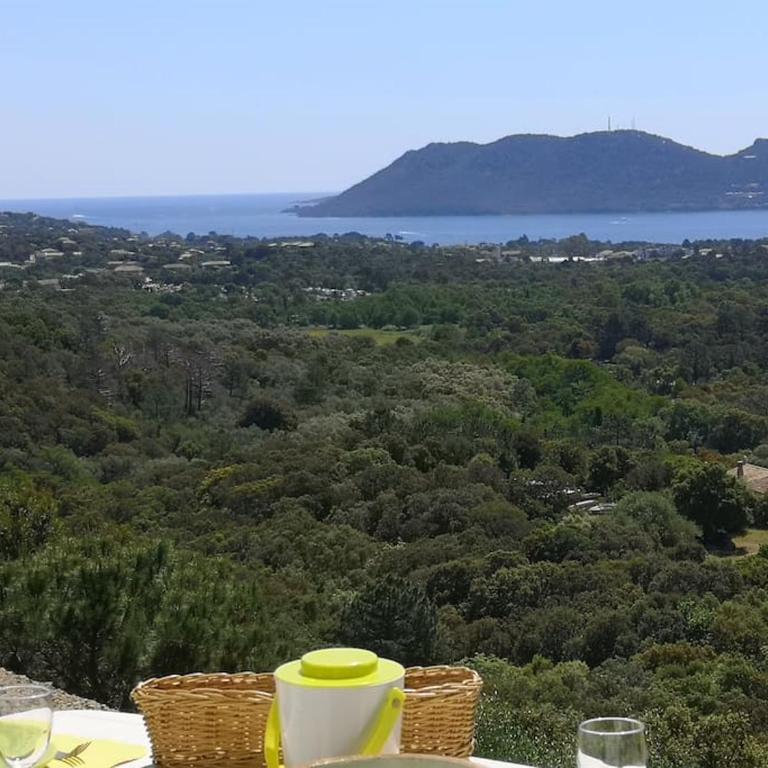 La Tour dans haut de villa - Appartamento con 1 Camera da Letto - 8