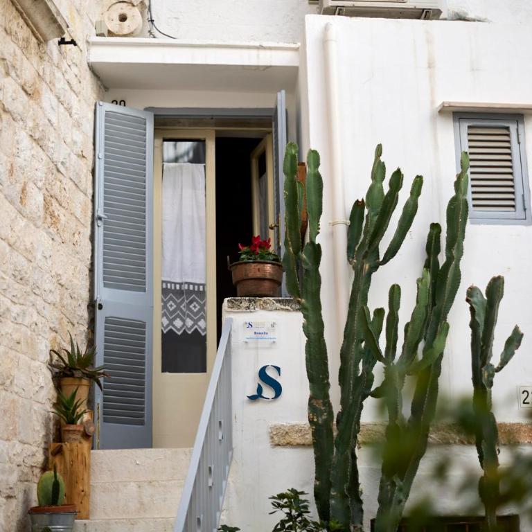Dei Serafini - Appartamento Standard - 2