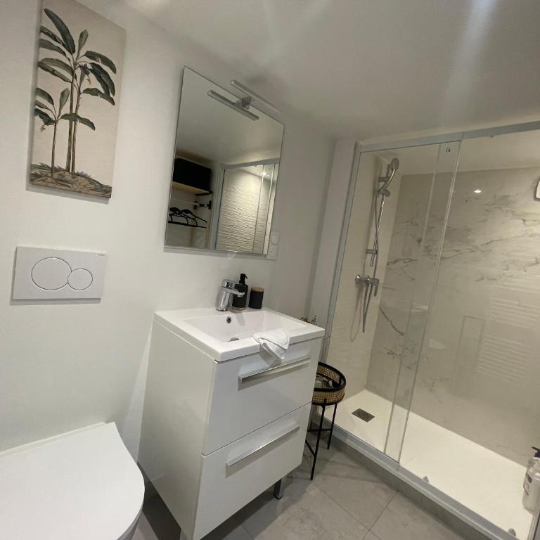 Appartements de charme du Général Leclerc - Place d'Erlon - Hypercentre - Gare - Reims - Appartamento Superior con 1 Camera da Letto - 14