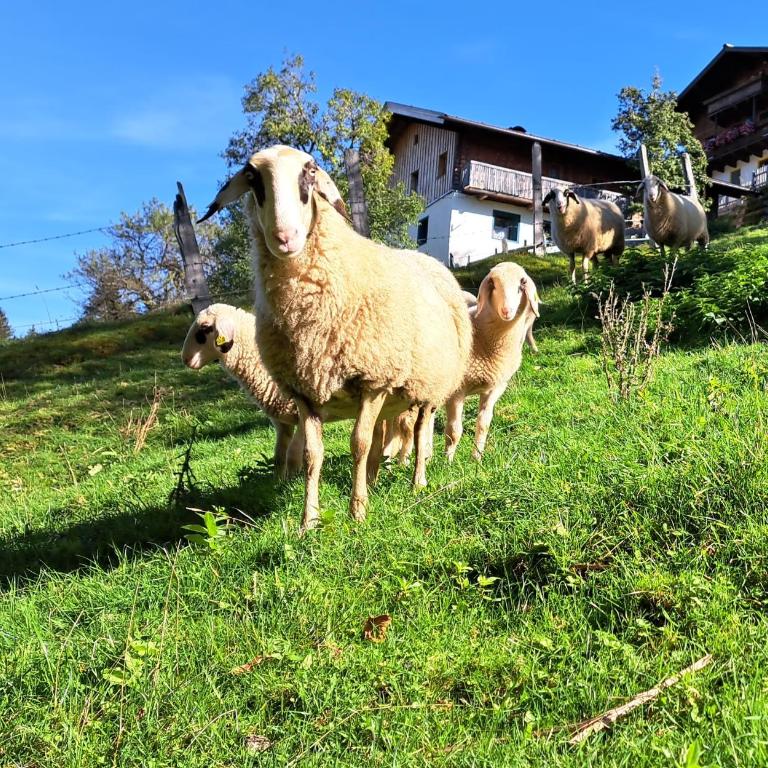Ferienhaus Unterblasbichl - Haus mit 4 Schlafzimmern - 27