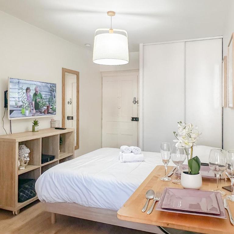 Canopee rue Carnot Annecy - Studio - 3