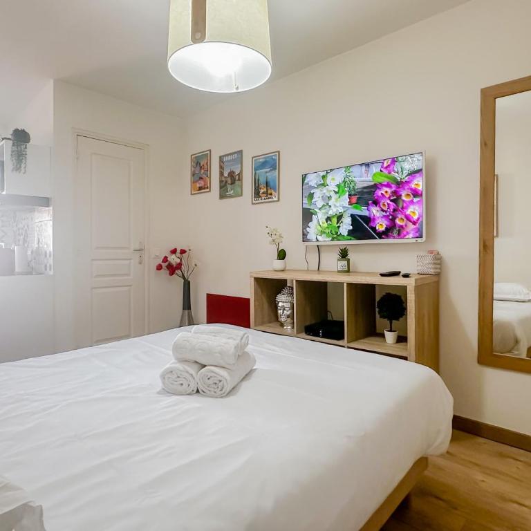 Canopee rue Carnot Annecy - Studio - 4