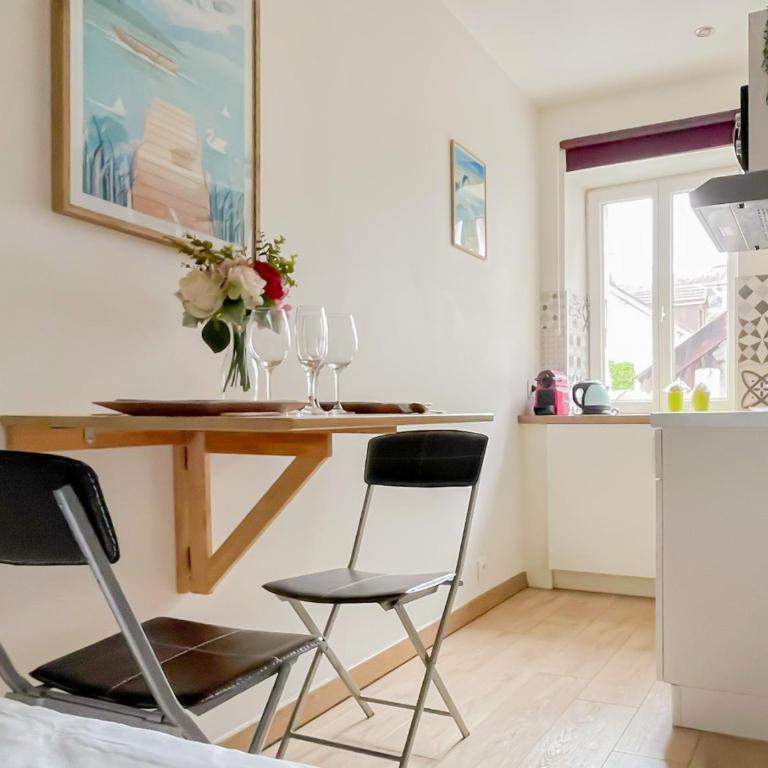 Canopee rue Carnot Annecy - Studio - 6